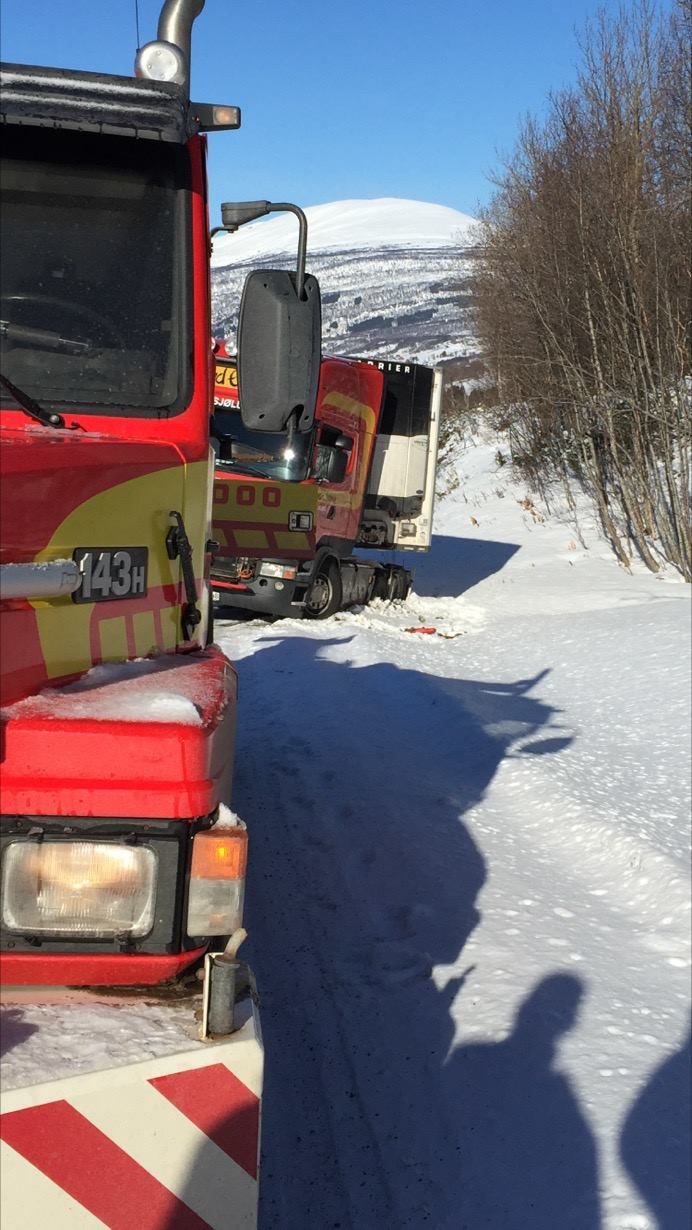305-bilberging-i-fint-vær-i-lavangen.jpg